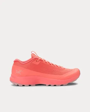 Aerios Aura Solasta / Bliss Running Shoes