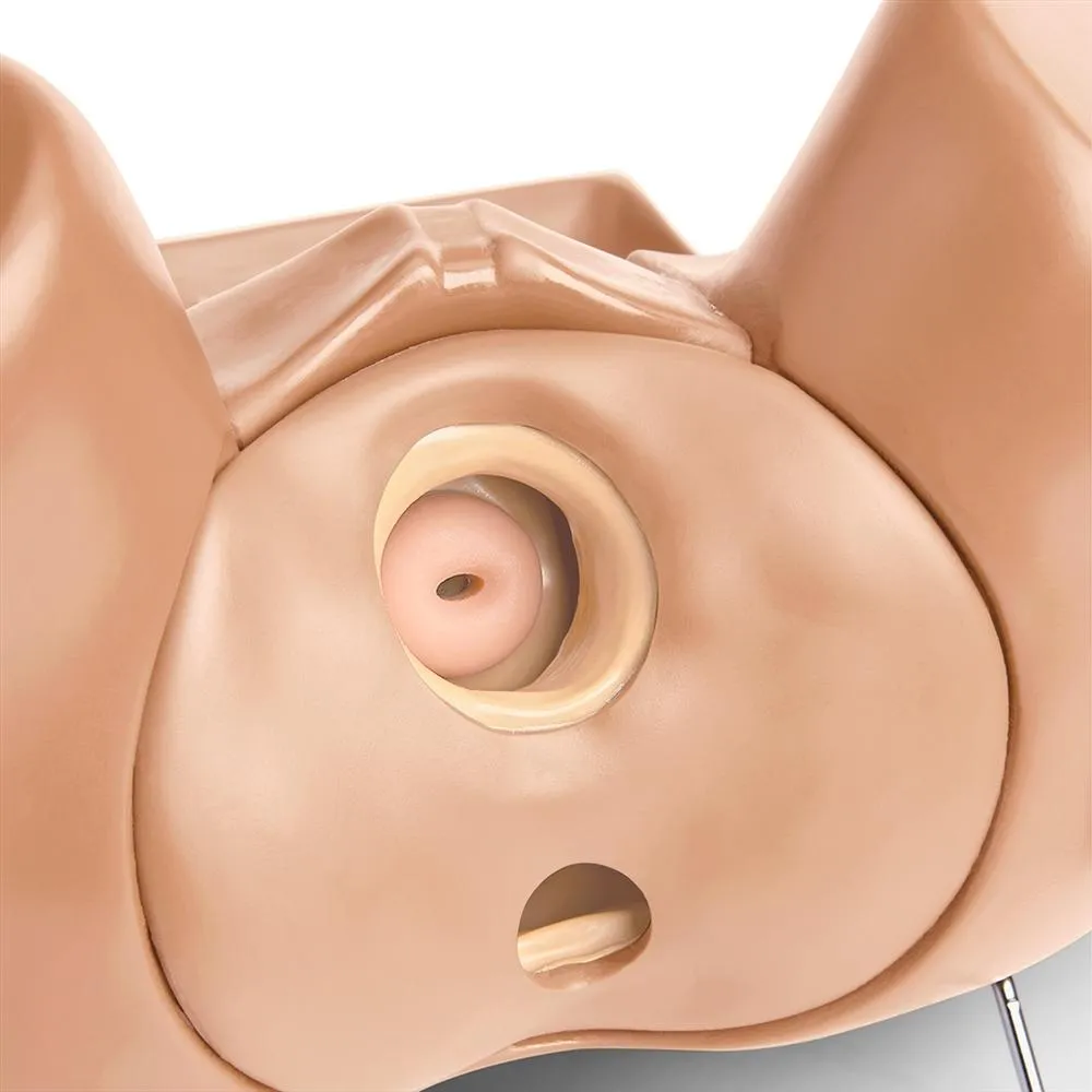 GYN-AID® Gynecologic Simulator, Medium