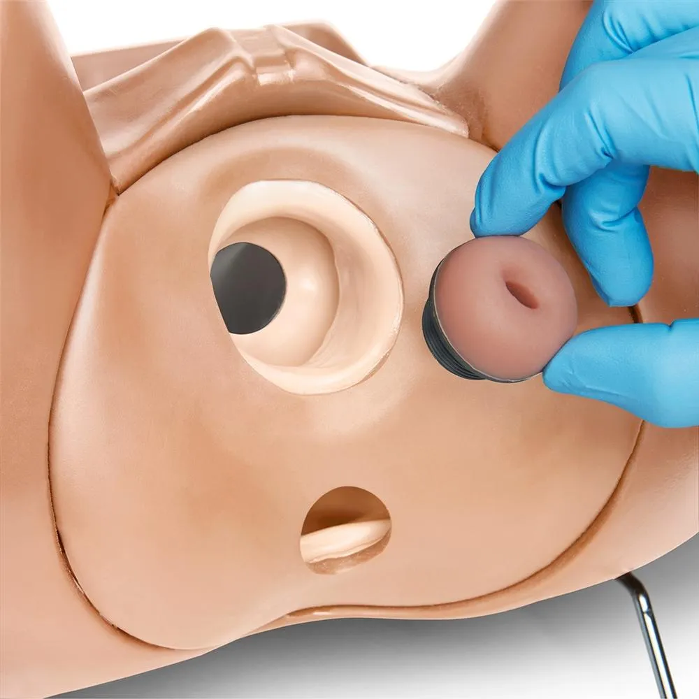 GYN-AID® Gynecologic Simulator, Medium