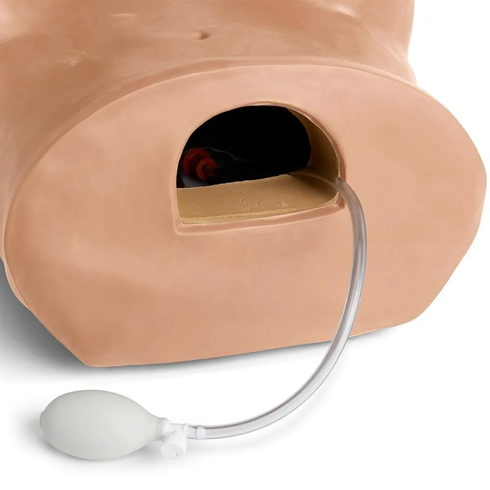 GYN-AID® Gynecologic Simulator, Medium