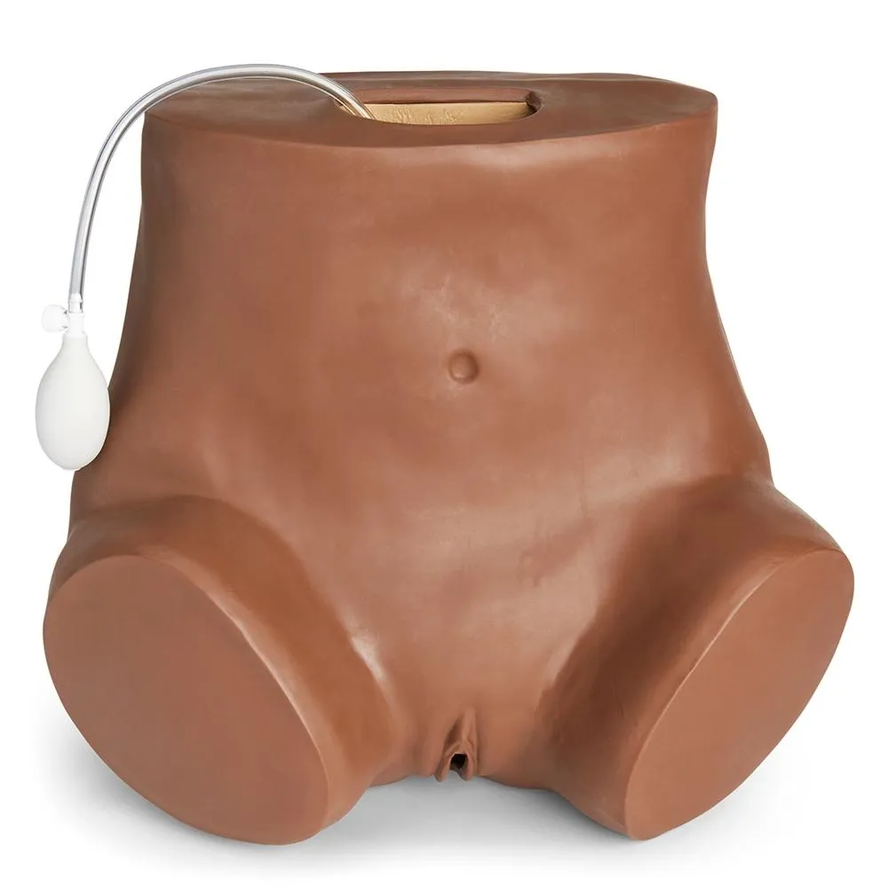 GYN-AID® Gynecologic Simulator, Medium