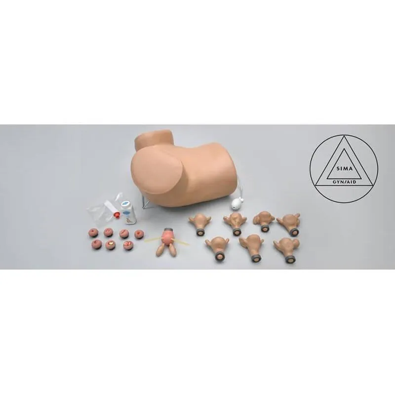 GYN-AID® Gynecologic Simulator, Medium