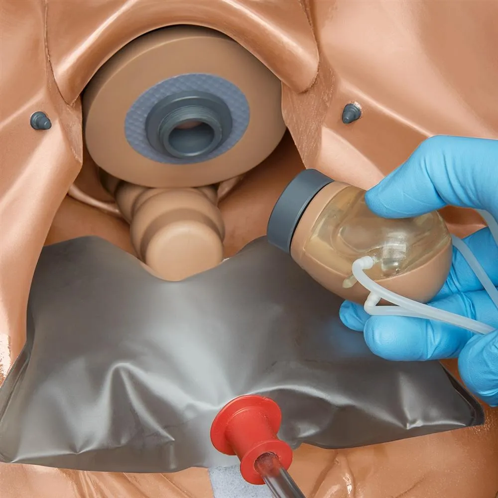 GYN-AID® Gynecologic Simulator, Medium