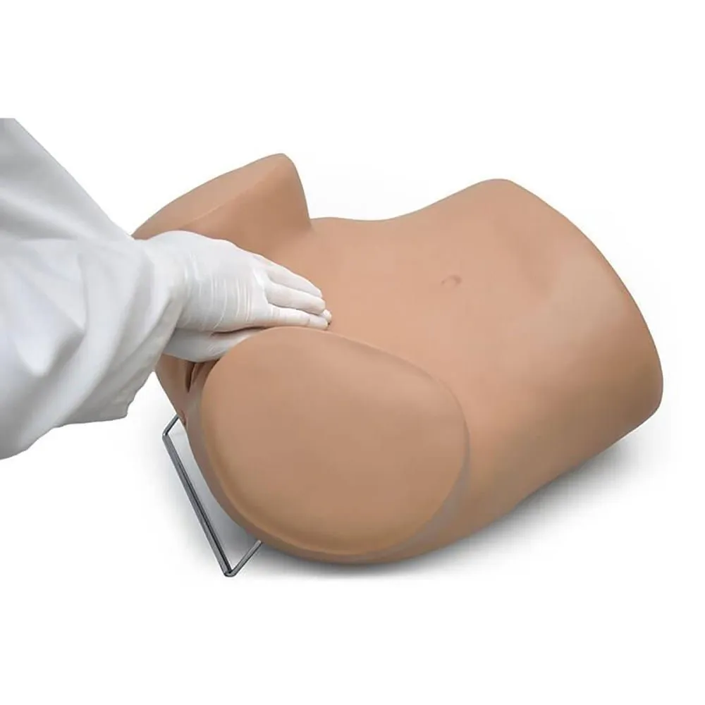 GYN-AID® Gynecologic Simulator, Medium