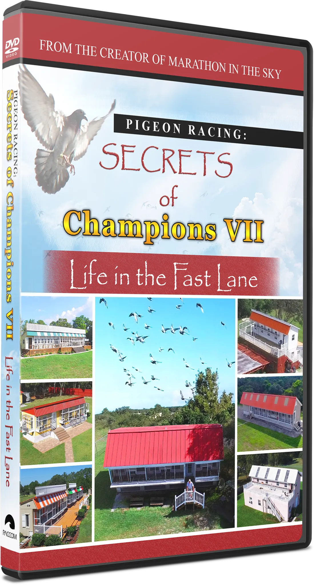 NEWEST FILM!!   Secrets of Champions VII: "Life in the Fast Lane"